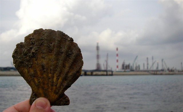 Shell With Shells Bukom Refinery Behind | Flickr - Photo Sharing!