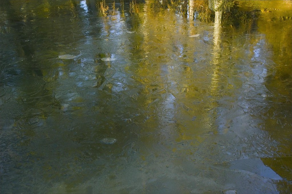 winter 3- ice ©2008 RosebudPenfold