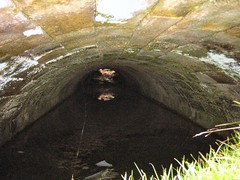 Boulby Alum Works Flooded Tunnel