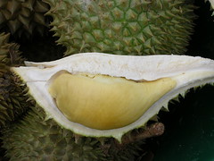 Malaysia King Of Fruit - Seulas Durian ( Kucin...