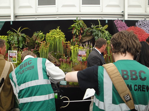 BBC film crew with Carnivorous plants