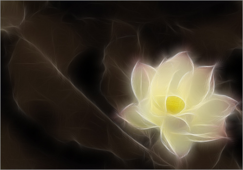 Fractalius Lotus Flower ID