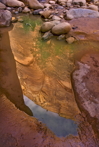 Puddle In Zion