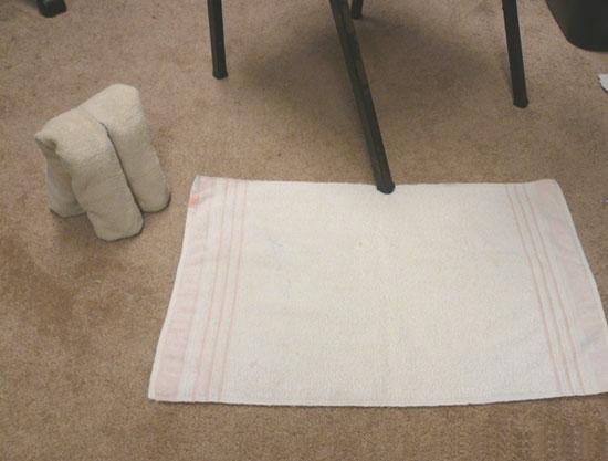 Towel Elephant 8
