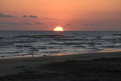 sunset on the Gulf Coast