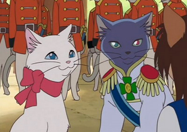 en el Reino de los Gatos – Studio Ghibli | Tuturum, animación