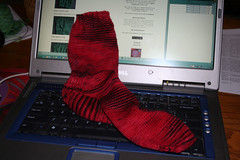 Sock 012208