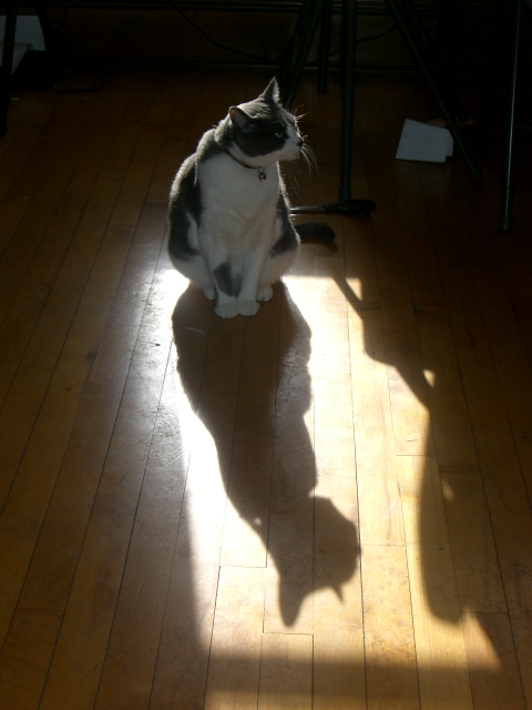Lola and her Shadow