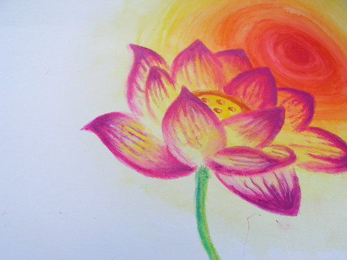 My drawing of lotus