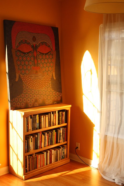 Golden afternoon light in my living room