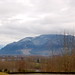 Edison and Leo - view of Fraser Valley