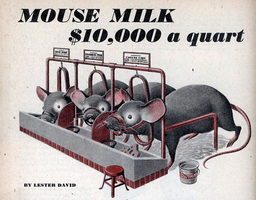Mouse Milk worth $10,000 a qt