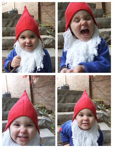 Clover in her Garden Gnome costume.