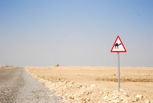 Watch Out For Camels!
