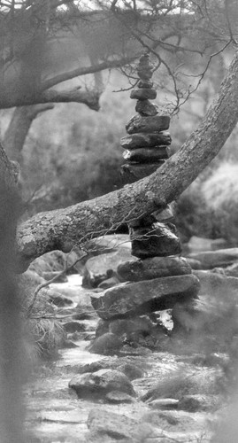 Stones Sheepwash upstream through tree BW