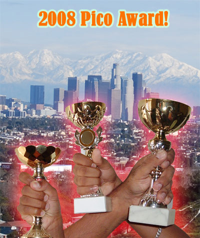 2008 Pico Award