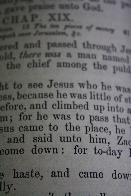 to see Jesus who he was because he was little of and climbed up into for he was to pass that came to the place, he and said unto him, come down: for today haste, and come down