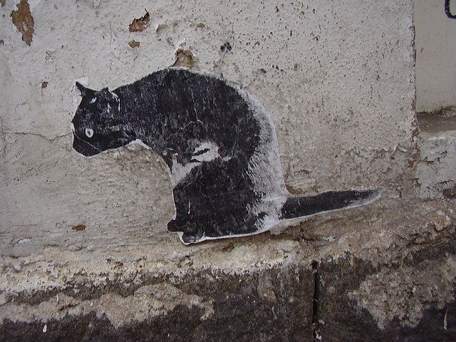 Котка зен графити