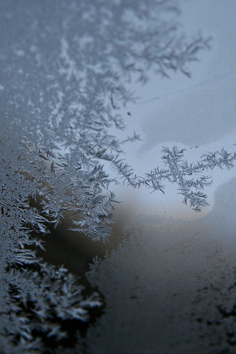 Day 11...2008 .frosty.