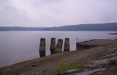 Four Pillars of Hinckley Lake1