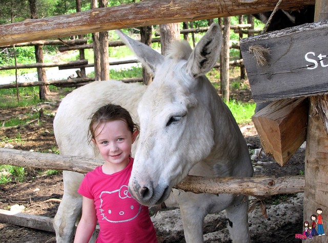 Caelan and her friend the white donkey at Ozark Medieval Fortress