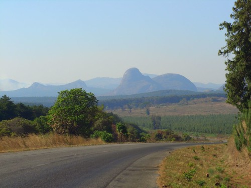 Resultado de imagem para Dwangwa  Malawi
