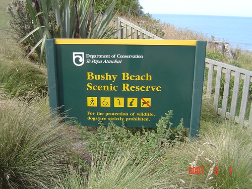 Bushy Beach