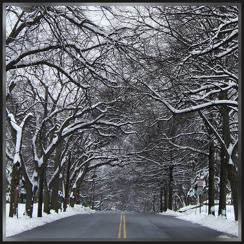 Winter Street Scene: Park Ave, Paterson NJ