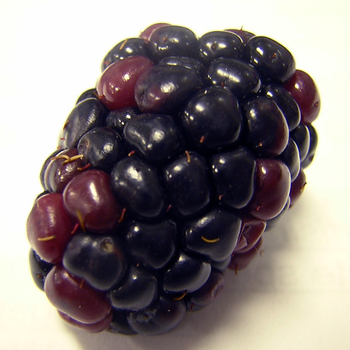 blackberry — nov 10