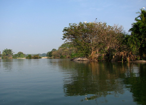 Ranganthittu Landscape