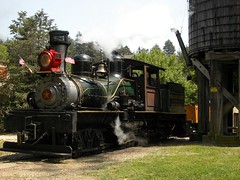 Train at the Roaring Camp Big Trees Railroad
