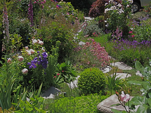 Carmel cottage garden