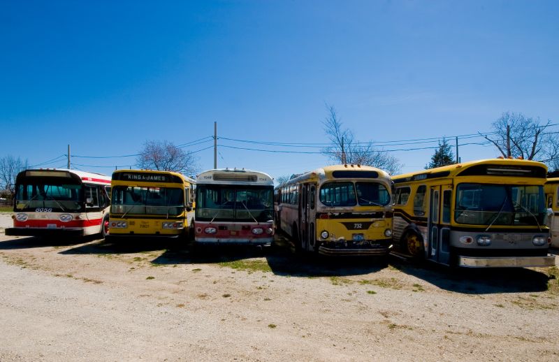 Classic TTC Buses