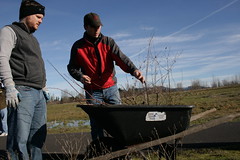 Trout Unlimited Tree Planting