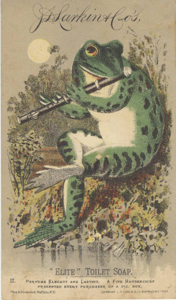 frog playing flute