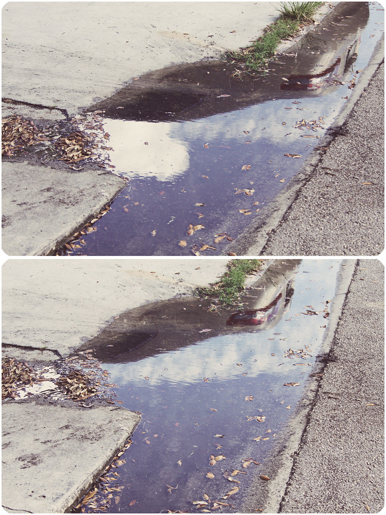 project 52-22-reflection diptych