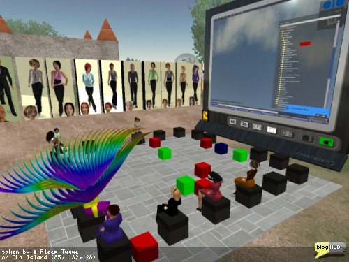 OLN Second Life Newbie Q&A Session