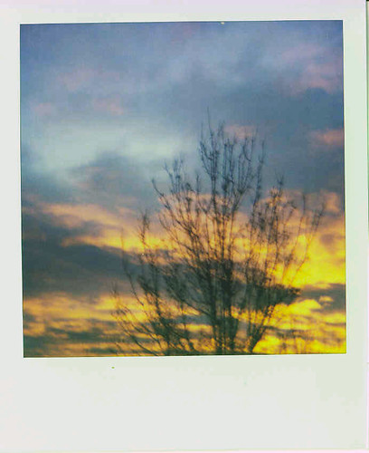 polaroid.sunrise