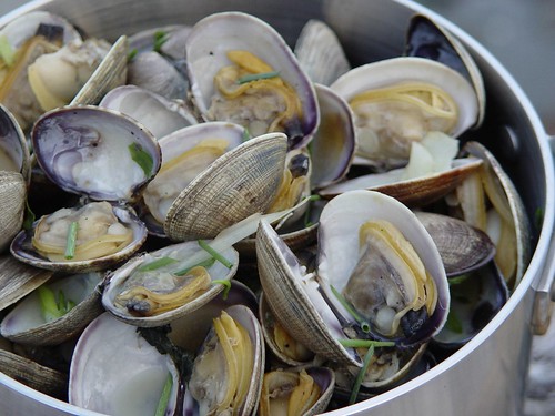 Steamed manila clams