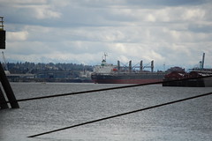 Bulk Freighters on the Columbia
