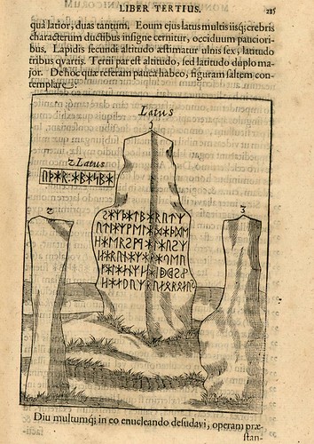 Danicorum monumentorum - Ole Worm - 1643 - 0238