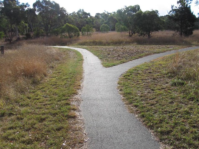 Fork in path
