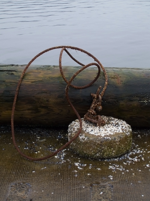 weight with barnacle debris