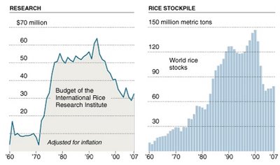 rice research versus stockpiling