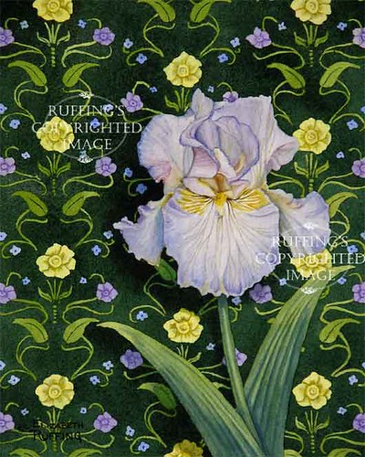 "Lavender Iris on Green" ER29 by Elizabeth Ruffing Pale Lavender Iris Floral
