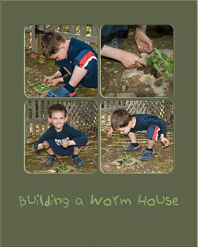 building a worm house.jpg