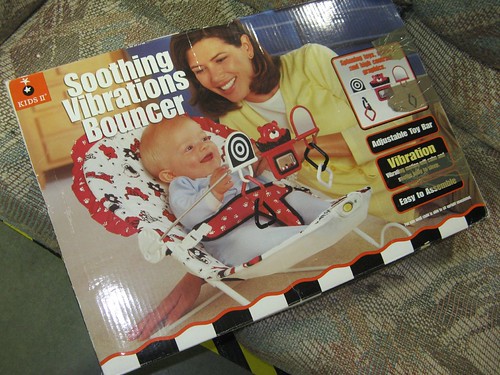 Soothing Vibrations Bouncer