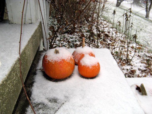 snow on the pumpkin