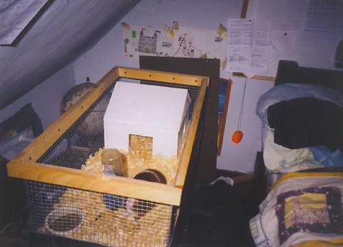 mario in his cage with his house