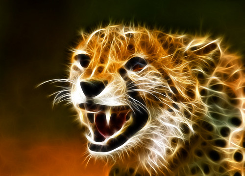 Fractal_Cheetah_1_by_artofpain